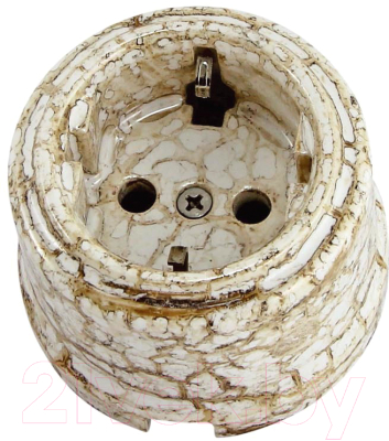 Розетка TDM Болонь SQ1820-0009 - фото