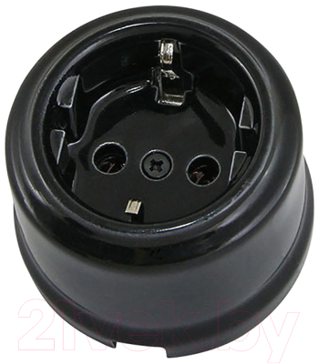 Розетка TDM Болонь SQ1820-0008 - фото