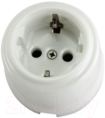 Розетка TDM Болонь SQ1820-0007 - фото