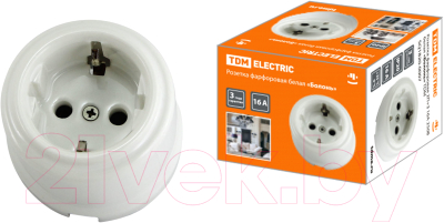 Розетка TDM Болонь SQ1820-0007