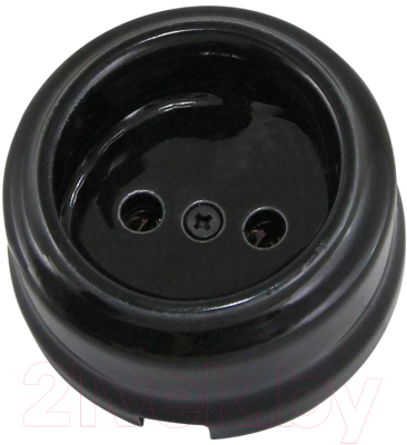 Розетка TDM Болонь SQ1820-0005 - фото