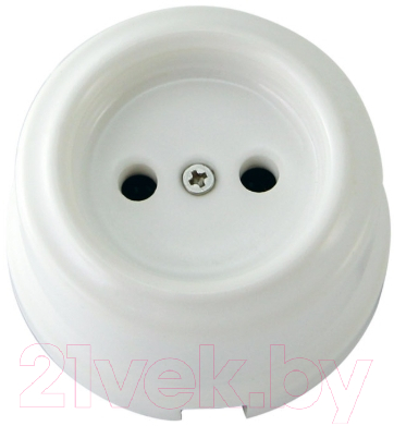 Розетка TDM Болонь SQ1820-0004 - фото