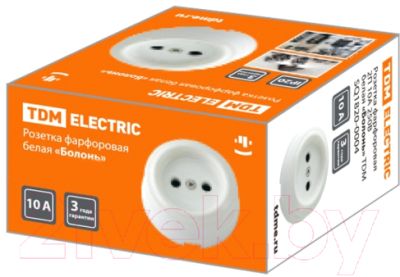 Розетка TDM Болонь SQ1820-0004