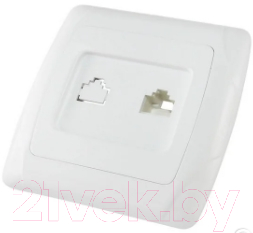 Розетка TDM Онега SQ1805-0020 - фото