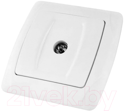 Розетка TDM Онега SQ1805-0023 - фото