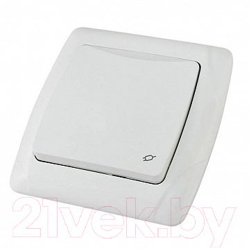 Розетка TDM Онега SQ1805-0014 - фото