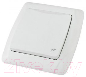 Розетка TDM Онега SQ1805-0019 - фото