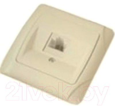 Розетка TDM Онега SQ1805-0051 - фото