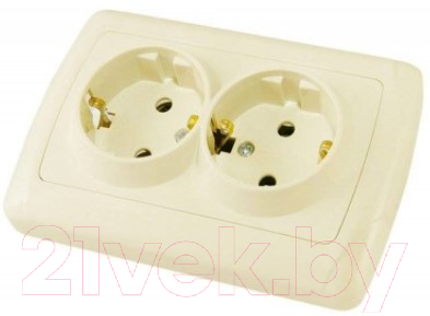 Розетка TDM Онега SQ1805-0047 - фото