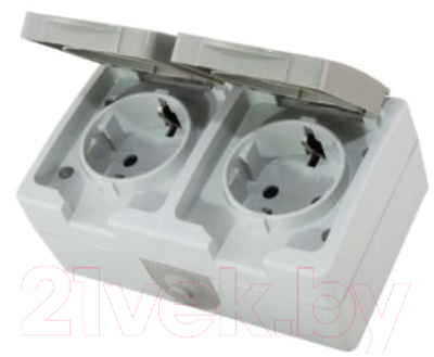 Розетка TDM Вуокса SQ1803-0008 - фото