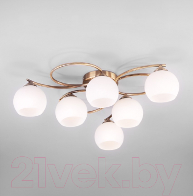 Люстра Евросвет 30144/6 - фото