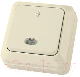 Выключатель TDM Ладога SQ1801-0012 - фото