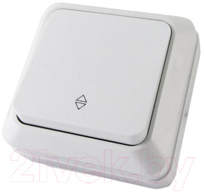 Выключатель TDM Ладога SQ1801-0005 - фото