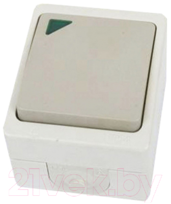 Выключатель TDM Вуокса SQ1803-0005 - фото