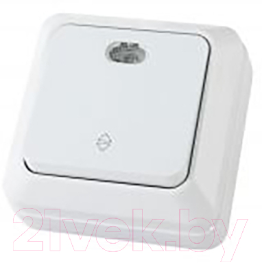 Выключатель TDM Ладога SQ1801-0011 - фото