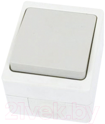 Выключатель TDM Вуокса SQ1803-0003 - фото