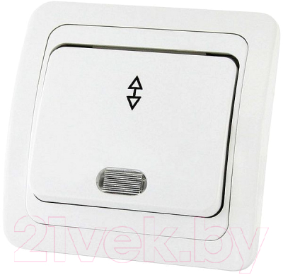 Выключатель TDM Валдай SQ1804-0005 - фото