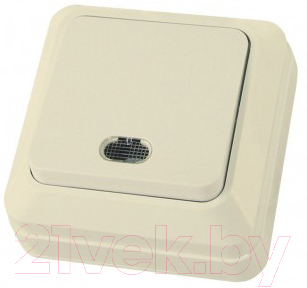 Выключатель TDM Ладога SQ1801-0010 - фото