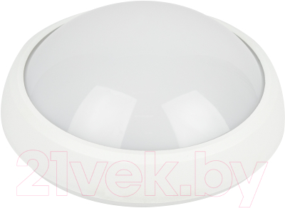 Светильник ЖКХ ЭРА SPB-1-08 (W) / Б0017326