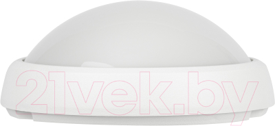 Светильник ЖКХ ЭРА SPB-1-08 (W) / Б0017326