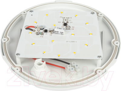 Светильник ЖКХ ЭРА SPB-1-08 (W) / Б0017326