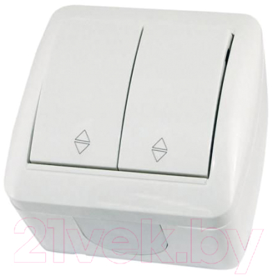 Выключатель TDM Селигер SQ1818-0012 - фото