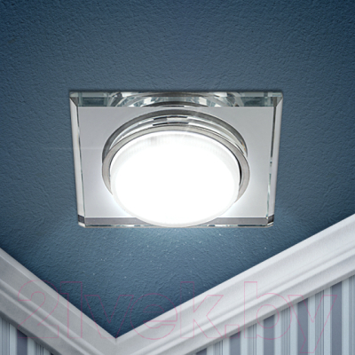 Точечный светильник ЭРА DK79 SL / Б0019578