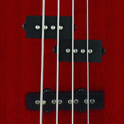 Бас-гитара Cort Action Bass Plus TR