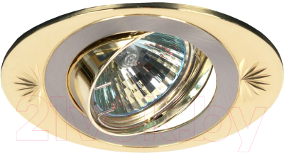 Точечный светильник ЭРА KL21 А SN-G / C0043706 - фото