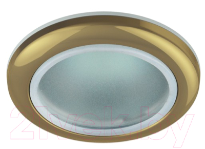 Точечный светильник ЭРА WR1 GD / C0043846 - фото