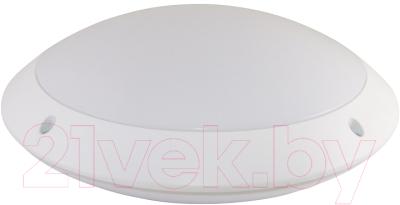 Светильник ЖКХ TDM SQ0328-0301 - фото