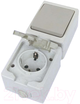 Блок выключатель+розетка TDM Вуокса SQ1803-0011 - фото