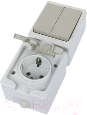 Блок выключатель+розетка TDM Вуокса SQ1803-0012 - фото