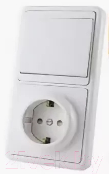 Блок выключатель+розетка TDM SQ1813-0001 - фото