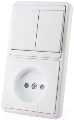 Блок выключатель+розетка TDM SQ1813-0005 - фото