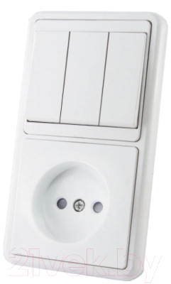 Блок выключатель+розетка TDM SQ1813-0006 - фото