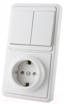 Блок выключатель+розетка TDM SQ1813-0002 - фото