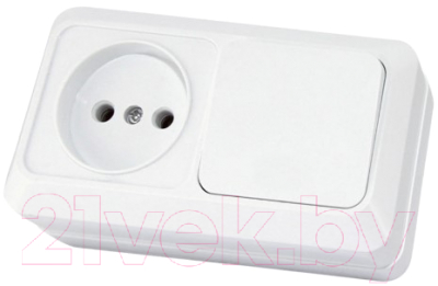 Блок выключатель+розетка TDM Ладога SQ1801-0105 - фото