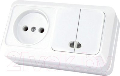 Блок выключатель+розетка TDM Ладога SQ1801-0108 - фото