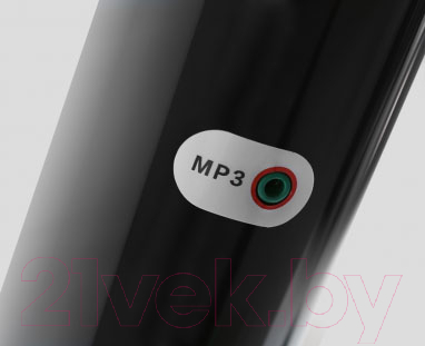 Электрическая беговая дорожка Svensson Body Labs Spacetech (amberlight)