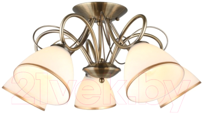 Люстра Omnilux Alimini OML-25307-05 - фото