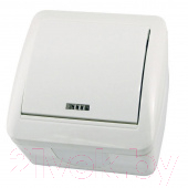 Выключатель TDM Селигер SQ1818-0003 - фото