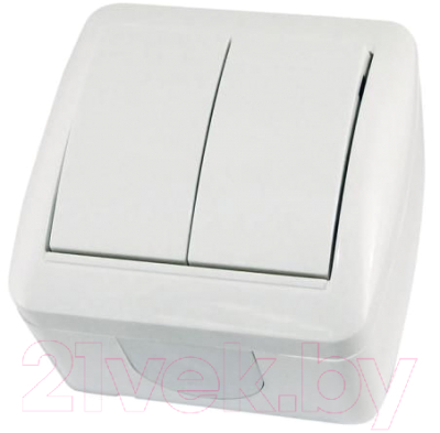 Выключатель TDM Селигер SQ1818-0002 - фото