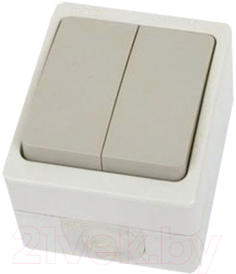 Выключатель TDM Вуокса SQ1803-0002 - фото