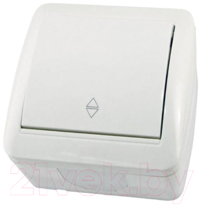 Выключатель TDM Селигер SQ1818-0011 - фото