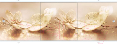 Экран для ванны МетаКам Премиум Арт 1.68 - фото