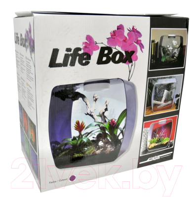 Террариум Lucky Reptile Life Box / LB-35P