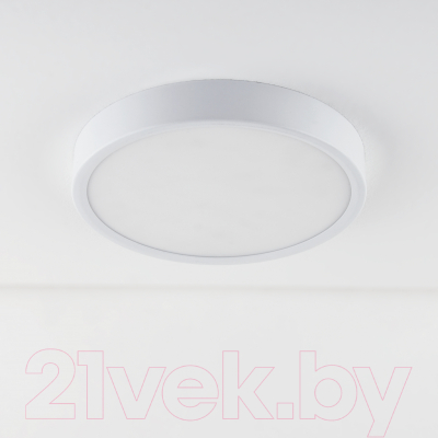 Светильник Elektrostandard DLR034 24W 4200K