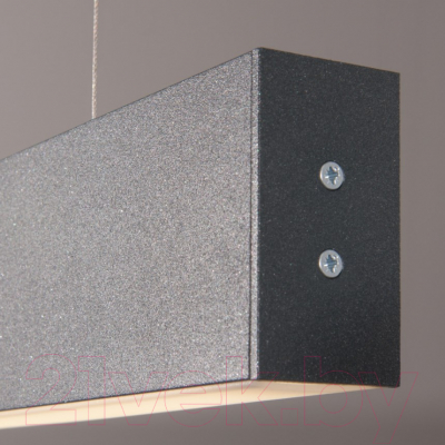 Потолочный светильник Elektrostandard 101-200-40-103 40W 3000K