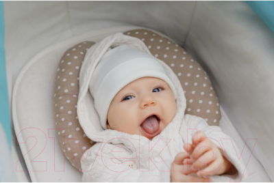 Подушка-позиционер Roxy-Kids RNP-001